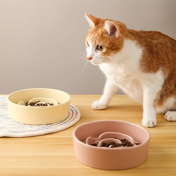 Ceramic Slow Feeder Bowl